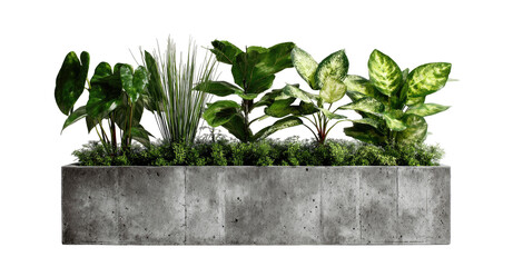 Gray concrete planter filled with lush greenery