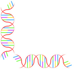 DNA　カラフル　　デザイン　イラスト