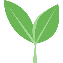 Fresh Green Tea Leaves Illustration on Transparent Background Simple Flat Design Organic Herb Natural Element Healthy Beverage Ingredient Icon Minimalist Graphic