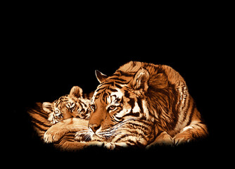 Tiger Face Portrait on Background-Wild Animal Art Design
