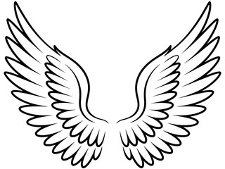 Obraz premium Angel wings vector drawing illustration design element clip art art