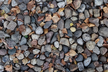 A Top-Down View Of A Ground Covered With Smooth, Rounded River Stones And Fallen Autumn Leaves, Creating A Natural Pattern.