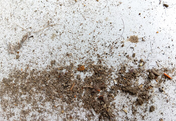 High-contrast macro of common household Dust Dirt particles and debris scattered on a clean white surface. This realistic Dust Dirt background is ideal for cleaning, hygiene, allergy, or grunge textur