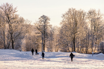 Naklejka premium People walking on a footpath in a wintry landscape
