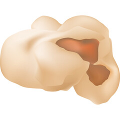 Close Up Of Two Realistic Popcorn Kernels With Brownish Orange Centers Against A Transparent Background Detailed Food Illustration For Snacks