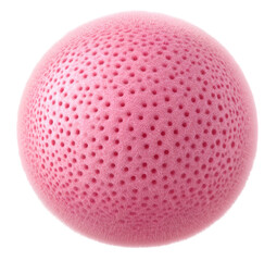 Pink Fluffy Sphere with Tiny Pores Texture Stylish Design Aesthetic Background Decoration Elegant Sphere