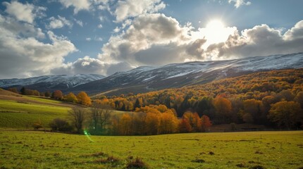 Vibrant autumn forest landscape with snow capped mountains under a dramatic cloudy sky