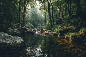 Obraz premium River flowing through forest in soft daylight symbolizing purity, calm, and environmental preservation.