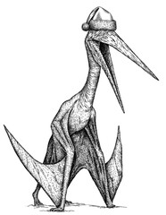Vintage engraving christmas isolated pterosaur set illustration pterodactylus ink santa costume sketch. Flying dinosaur background silhouette Jurassic new year hat art. Hand drawn image