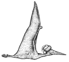 Vintage engraving christmas isolated pterosaur set illustration pterodactylus ink santa costume sketch. Flying dinosaur background silhouette Jurassic new year hat art. Hand drawn image