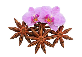Two pink orchid flowers with star anise isolated on transparent background, aromatic spice and beautiful blossom for culinary and decoration