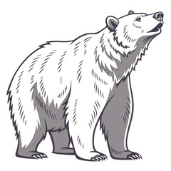 vector bear animal free download 