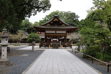 Fototapeta premium A Japanese shrine : a scene of Hai-den Hall of Worship or Pray in the precincts of Hirano-jinjya Shrine in Kyoto City 