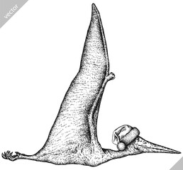 Vintage engraving christmas isolated pterosaur set illustration pterodactylus ink santa costume sketch. Flying dinosaur background silhouette Jurassic new year hat art. Hand drawn vector image