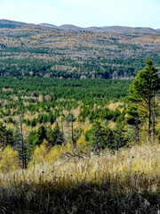 view of the autumn forest from the top of a low mountain, southern Urals