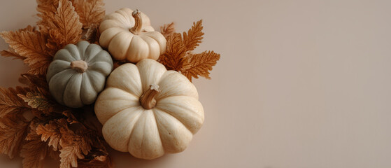 Three Stylish Pumpkins with Autumn Leaves on a Neutral Background