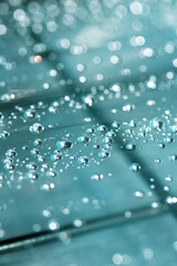 Close up of abstract floating bubbles water droplets condensation rain on a glass transparent bokeh background