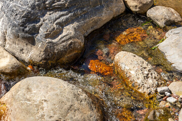 A stream of water flows fresh and clean between large rocks