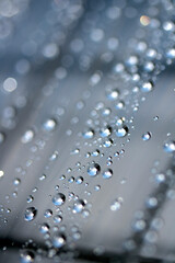 Close up of abstract floating bubbles water droplets condensation rain on a glass transparent bokeh background