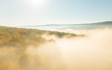 Obraz premium Magical autumn scenery in the Republic of Moldova, with golden forests and peaceful Eastern European charm