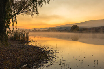 Magical autumn scenery in the Republic of Moldova, with golden forests and peaceful Eastern European charm