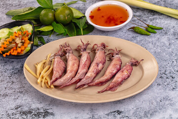 Boiled wild mini calamari snack