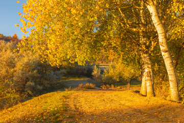 Magical autumn scenery in the Republic of Moldova, with golden forests and peaceful Eastern European charm