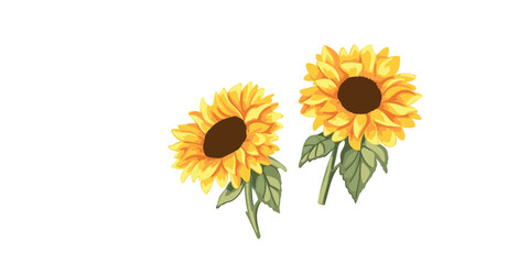 Obraz premium cute vector illustration bright sunflowers
