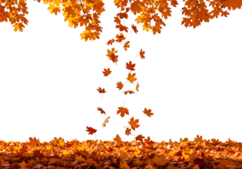 Vibrant autumn leaves cascade gracefully onto a thick carpet of fallen foliage, capturing the essence of seasonal change and natural beauty.