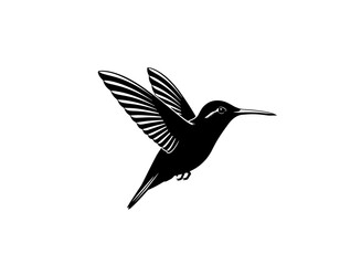 Hummingbird in flight