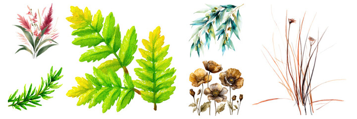 Diverse botanical elements collection showcasing green leaves, floral arrangements, and elegant foliage in a painterly style on transparent background.