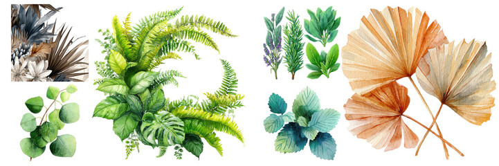 Watercolor collection of various green plants, including fern, eucalyptus, monstera, and palm leaves isolated on transparent background
