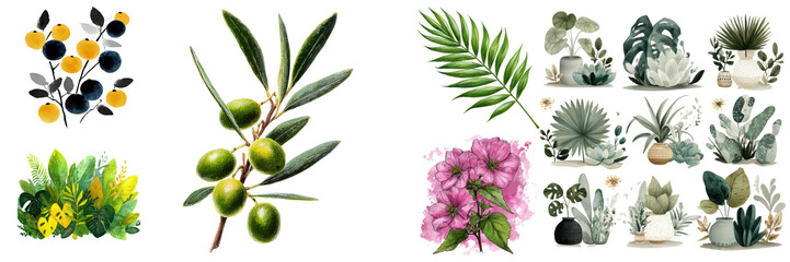 Botanical Watercolor Illustrations with Diverse Plants and Flowers for Creative Design Projects on transparent background.