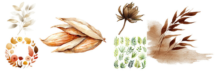 Elegant watercolor floral collection featuring flowers, leaves, and botanical elements, showcasing a natural autumn theme on transparent background.