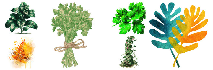 Assortment of vibrant botanical illustrations including herbs, leaves, and plants creating a colorful collage style design on transparent background.