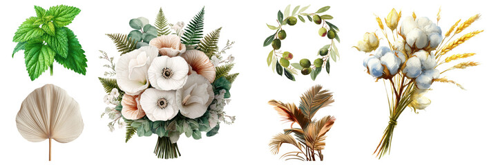 Elegant floral assortment featuring anemones, cotton flowers, olive wreaths, and foliage accents, ideal for design projects on transparent background.