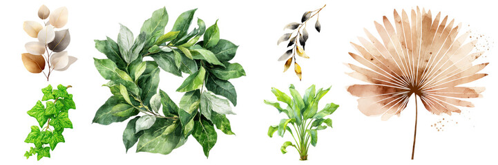 Watercolor botanical illustration collection featuring diverse leaf shapes, styles, and colors, perfect for design projects on transparent background
