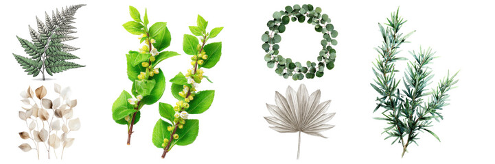 Assortment of decorative leaves and botanical elements featuring green, silver and golden textures ideal for graphic design on transparent background.