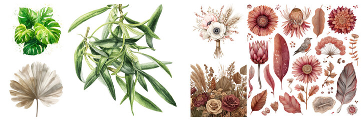 Botanical Watercolor Clipart Collection Featuring Floral Bouquets, Various Flowers, and Green Leaves Arrangement Isolated on transparent background