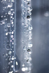 Close up of abstract floating bubbles water droplets condensation rain on a glass transparent bokeh background
