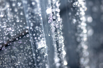 Close up of abstract floating bubbles water droplets condensation rain on a glass transparent bokeh background