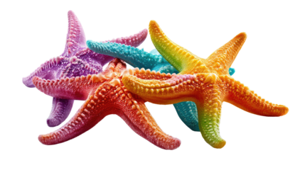 Colorful Seastars: An eye-level, close-up shot of a cluster of vibrant, colorful seastars in an array of captivating hues, each starfish a unique masterpiece.