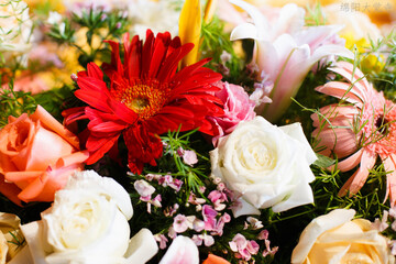 Close-up of flower arrangement art.