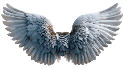 Serene Wings of Tranquility: A pair of delicate, pristine wings, outstretched in a gesture of peace and serenity, evoke feelings of freedom and spiritual reflection.
