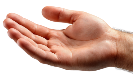 Open Hand Gesture: A detailed close-up of an outstretched hand, palm facing upwards, with a gesture of offering, welcoming, or receiving. The image captures the textures and lines of the skin.