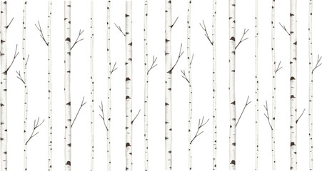 Birch trees with branches, watercolor seamless pattern. Forest illustration of stems on white background, nature template.