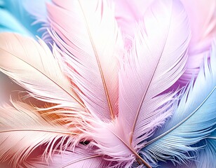 Fototapeta premium pink, white and blue soft pastel feathers background with copy space