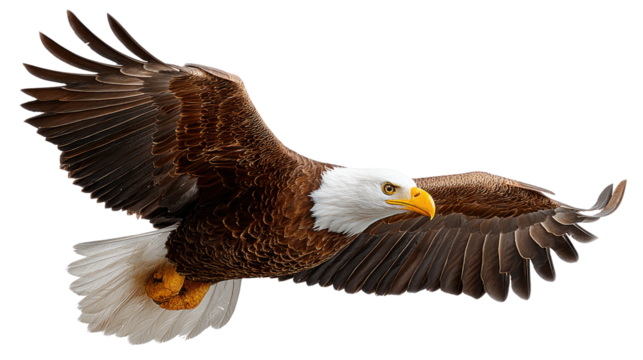 Soaring Eagle: A majestic bald eagle displays its freedom against a brilliant background, with its wings outstretched, embodying strength and soaring to new heights.