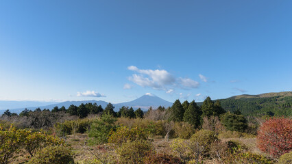 日本：富士山をバックに函南原生林学習の道入口付近／静岡県函南町・11月