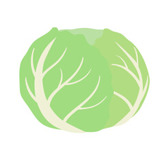 キャベツのシンプルなイラスト